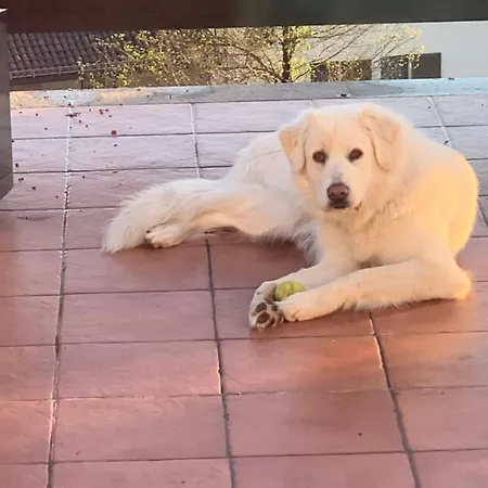 La Casa Di Bacco Lerma