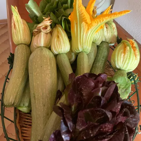 La Casa Di Bacco Panzió *