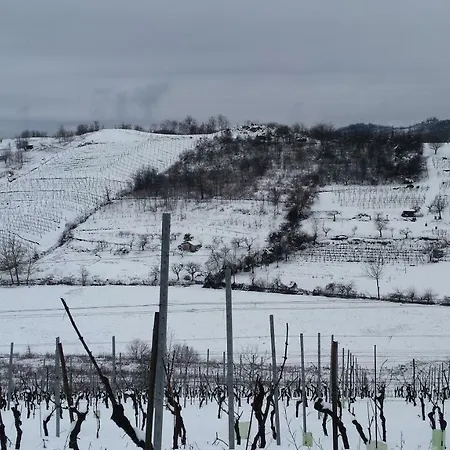 La Casa Di Bacco Bed and Breakfast