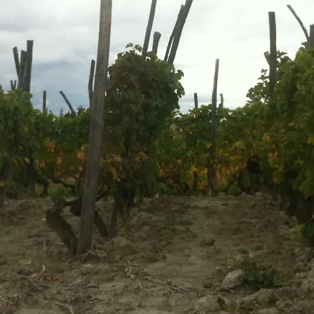 Bed and Breakfast La Casa Di Bacco