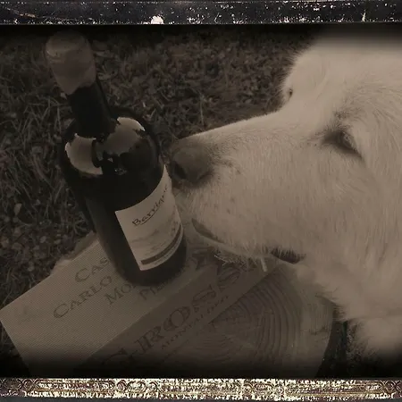 Bed & Breakfast La Casa Di Bacco