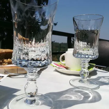 La Casa Di Bacco Bed & Breakfast Lerma