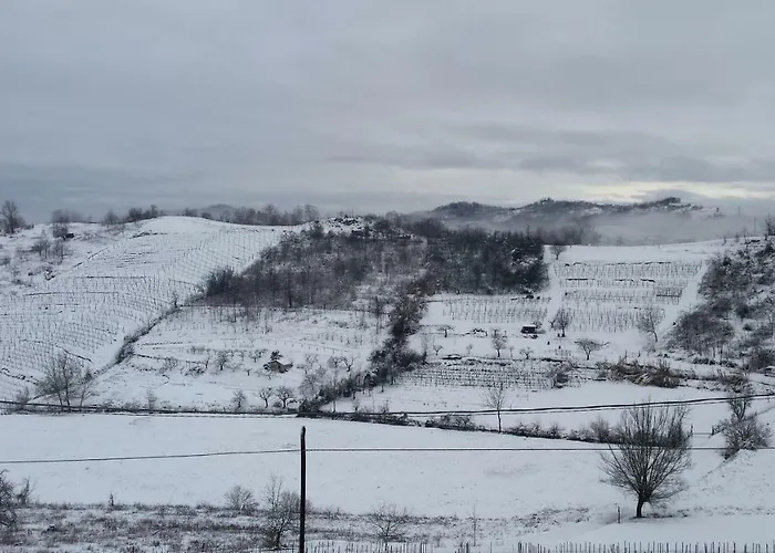 La Casa Di Bacco Frühstückspension